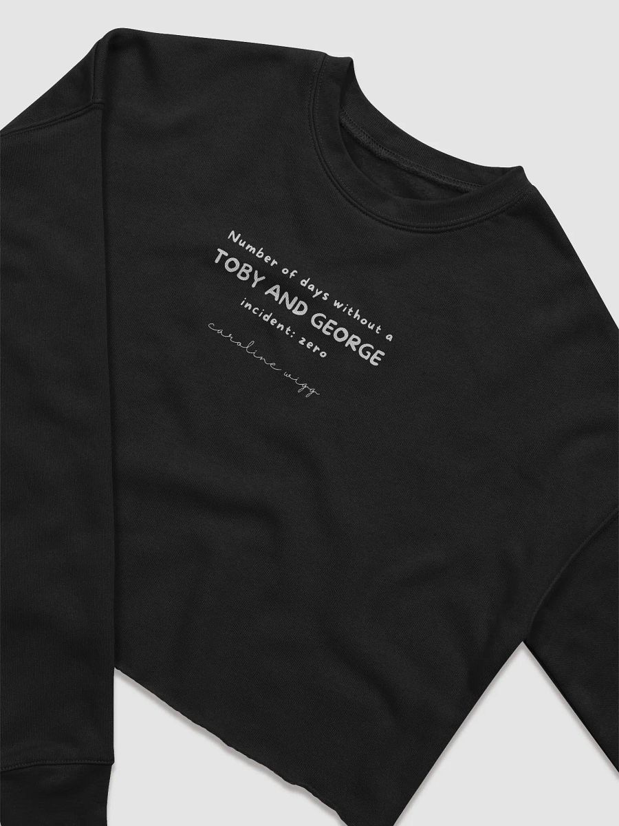 Toby and George Incident Crop Sweatshirt - Dark Colours product image (3)
