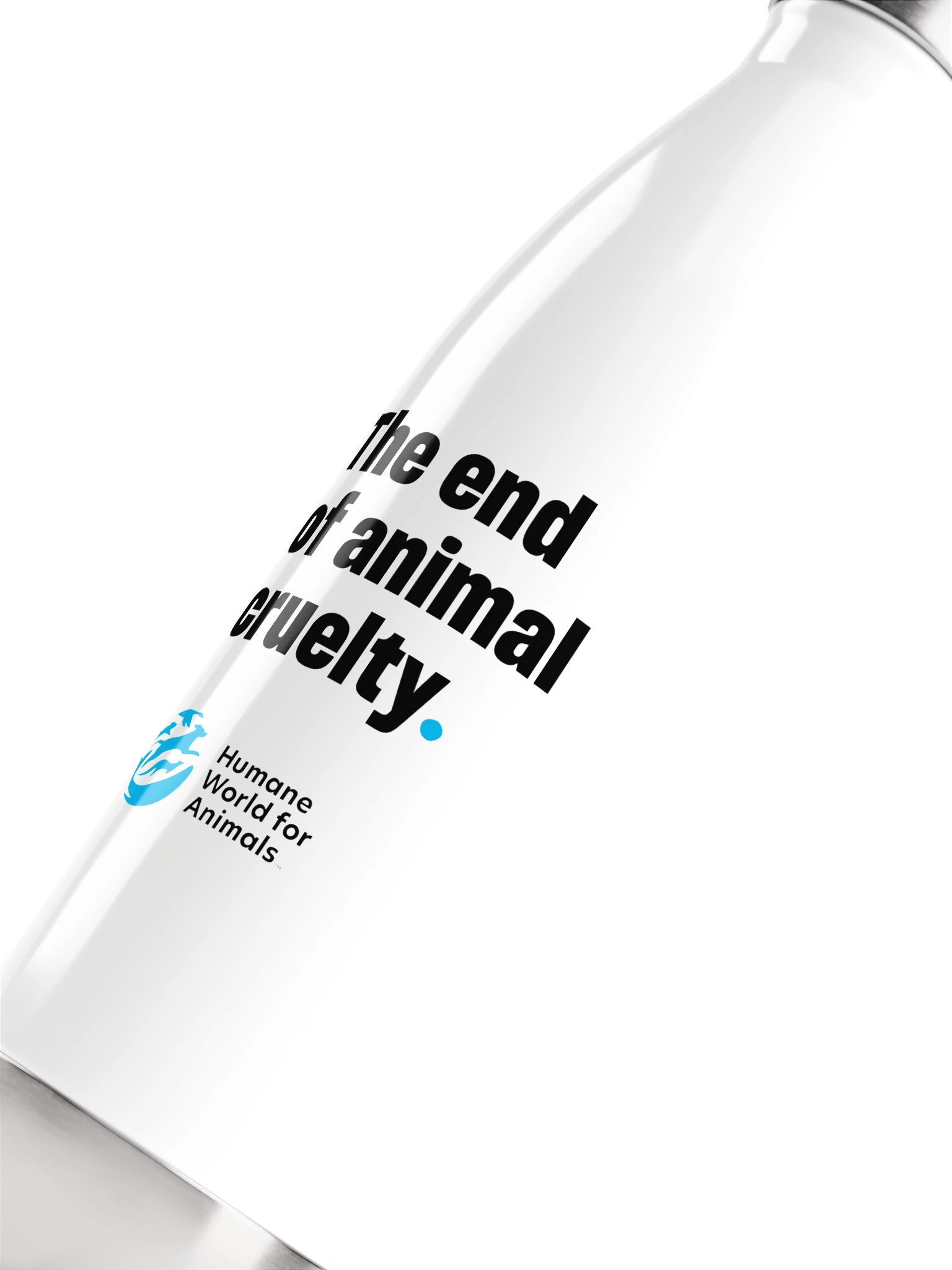 Stainless Steel Water Bottle product image (5)