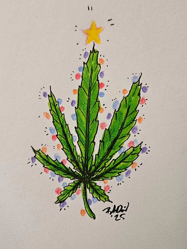 The only thing I want for Christmas issss... a bag of weed. A bag of weed all I want is a bag of weed. #brianjustdoes #pickmy...