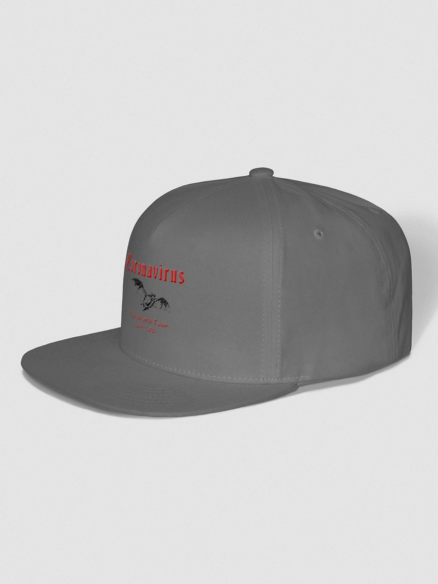 Coronavirus - World Tour Embroidered Flat Bill Cap product image (2)