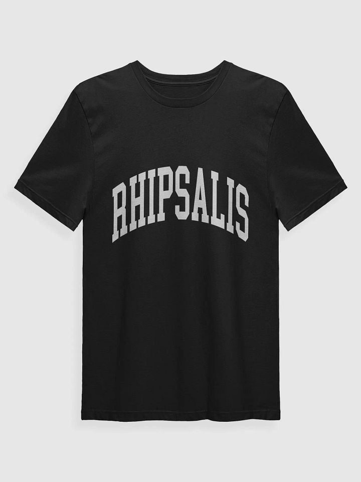 RHIPSALIS varsity supersoft unisex tee product image (1)