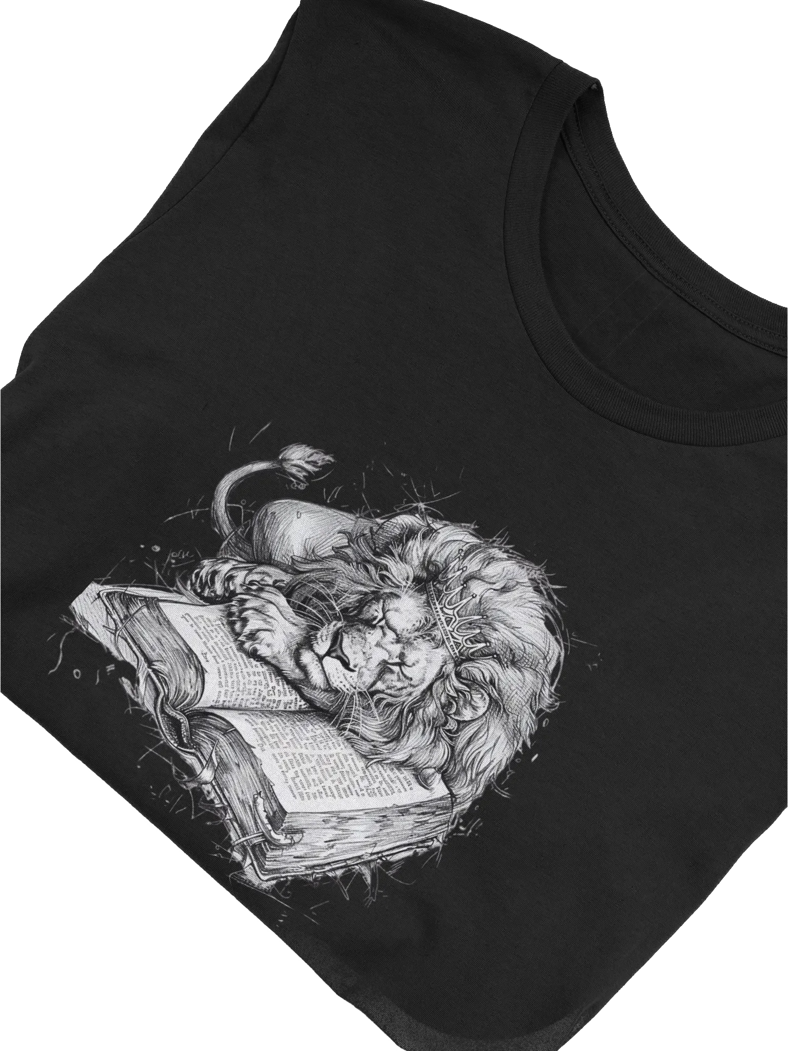 Crowned Lion Resting on Knowledge T-Shirt product image (52)