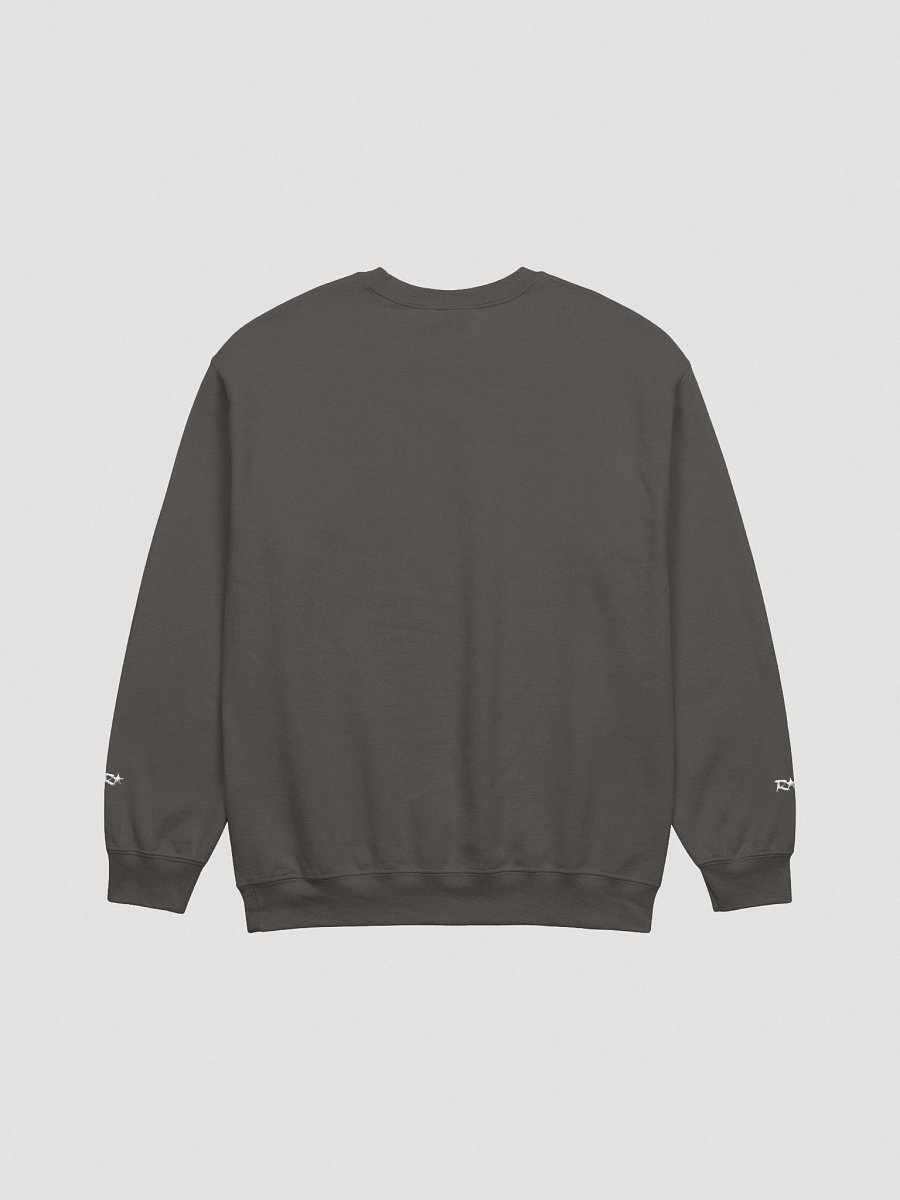 ROBIFY EMBROIDERED CURSIVE SWEATSHIRT product image (2)