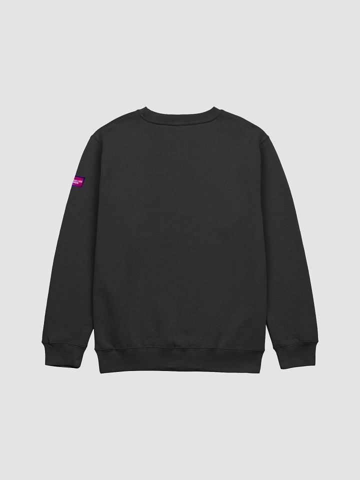Misbehaving Pride 2025 - Sweatshirt product image (2)