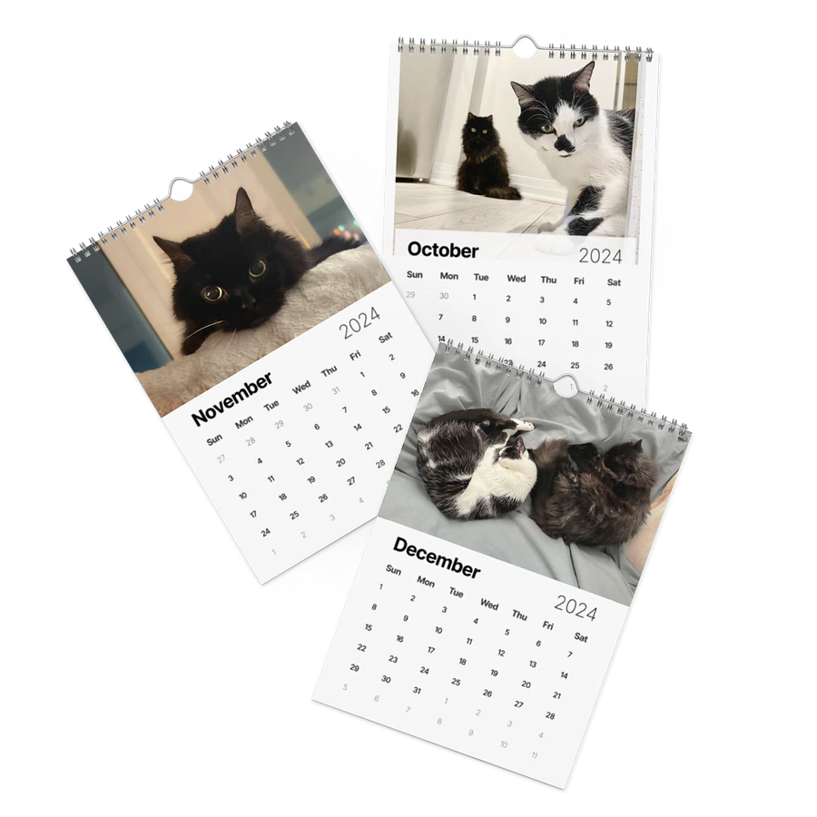 The 2024 ShoKo Cat Calendar product image (17)