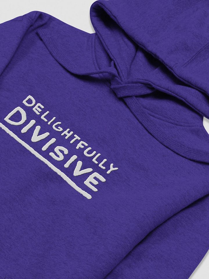 DELIGHTFULLY DIVISIVE (lg., white design) embroidered heavyweight hoodie product image (25)