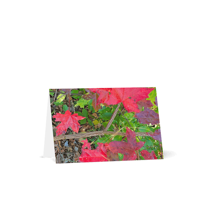 Maple Leafs Greeting Card (blank) product image (1)