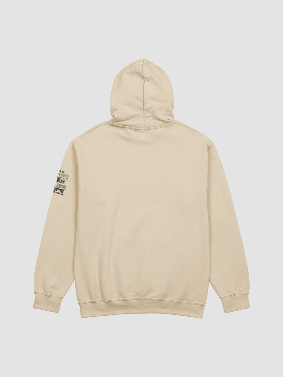 Thrifting Scavenger Hoodie product image (4)