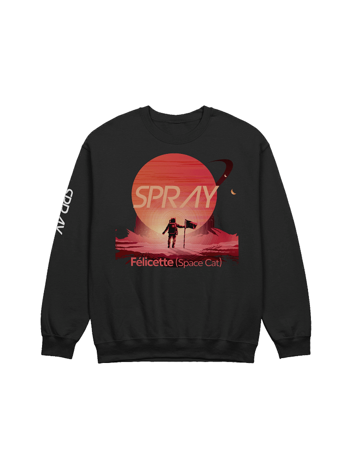 SPRAY - Felicette crewneck sweatshirt product image (5)