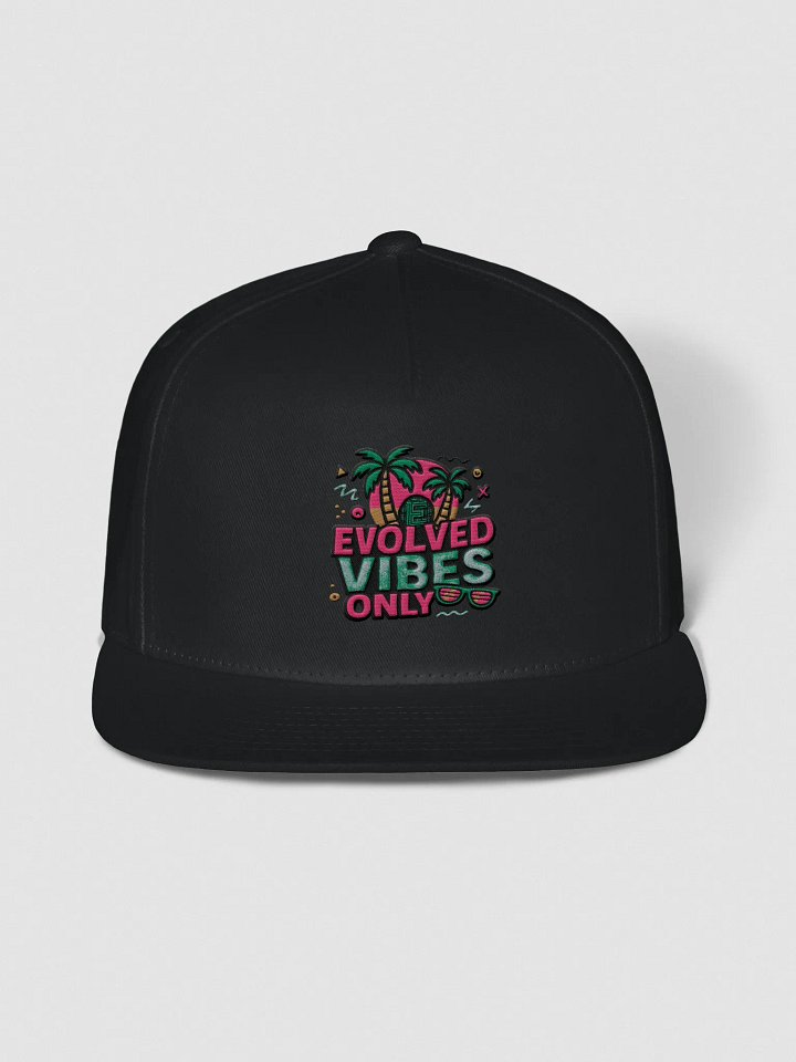 Evolved Vibes Snapback Cap product image (1)