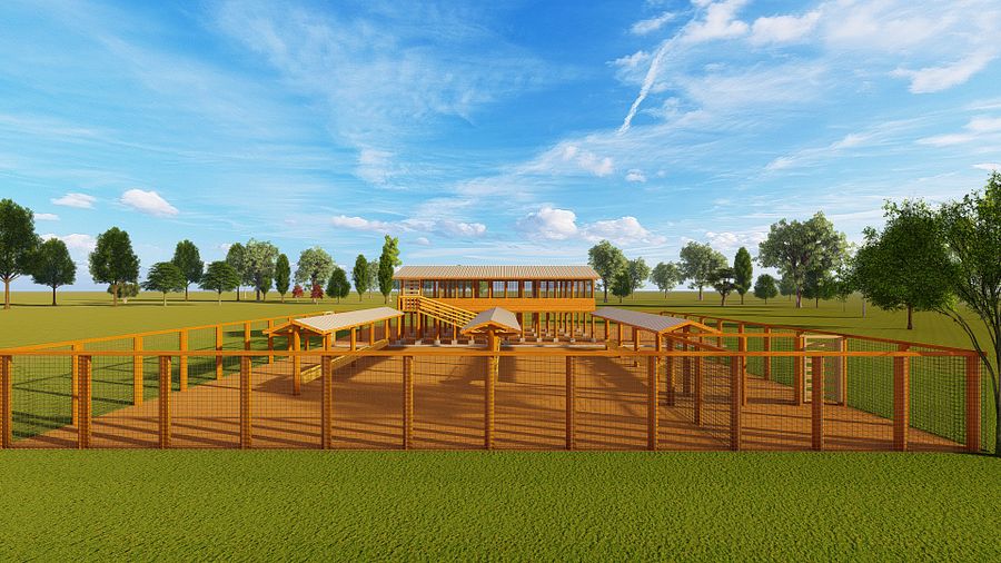 100 Zero Grazing Goats/Sheep Design Plan product image (2)