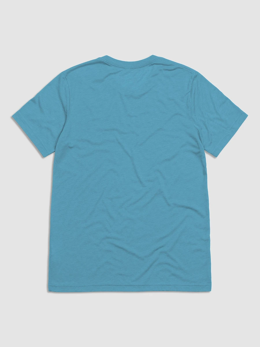 stargazing dog Tri-Blend T-Shirt product image (28)