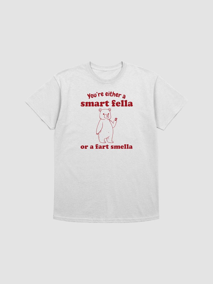 You're either a smart fella or a fart smella product image (1)