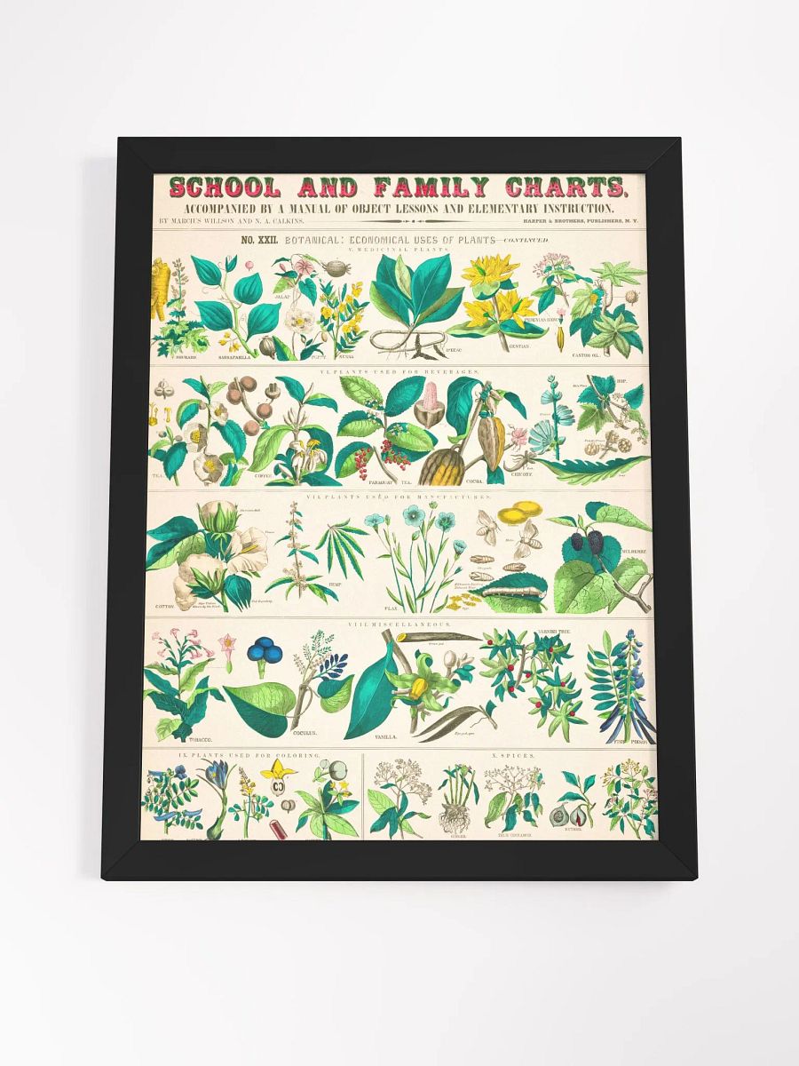 Botanical Uses Framed Art Print product image (23)