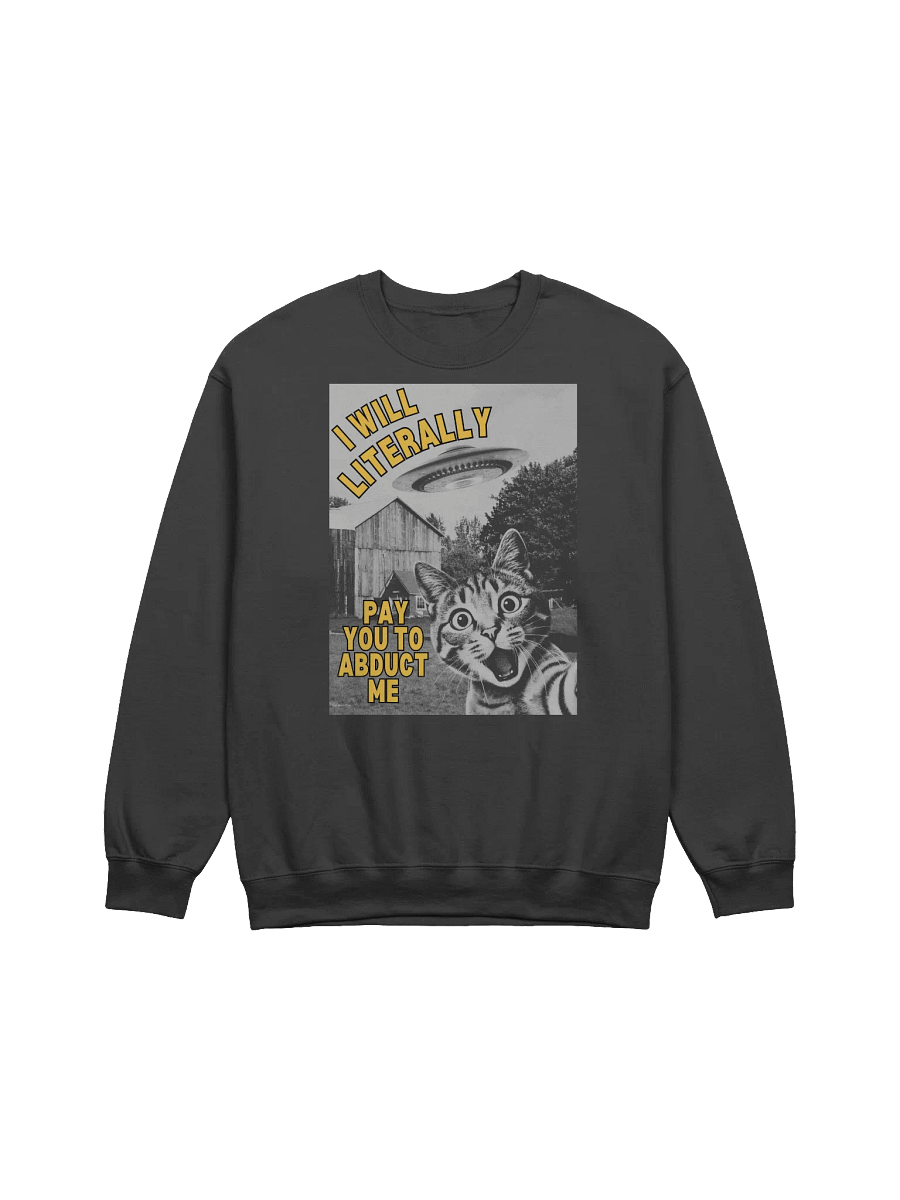 I Will Literally Pay You To Abduct Me Sweatshirt product image (1)