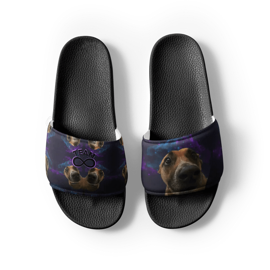 The Ruka Steppers product image (5)