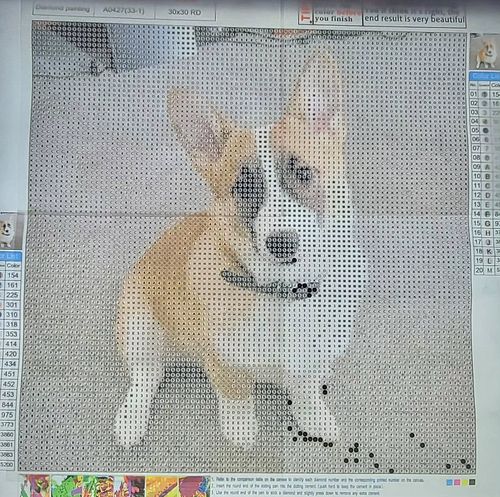 Next diamond painting is a custom one of my sweet baby corgi 🥹😍 Obi baby 🐶❤️
#corgi #corgipuppy #corgilove #diamondpainting