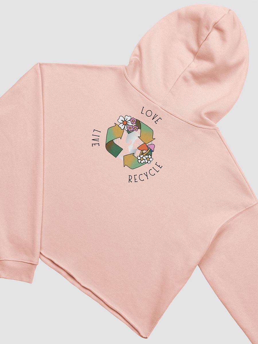 Live, Love, Recycle product image (1)