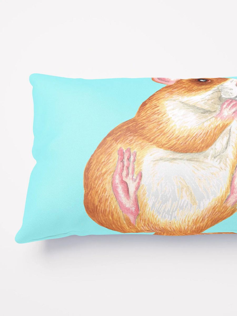 rat eating treat pillows product image (4)