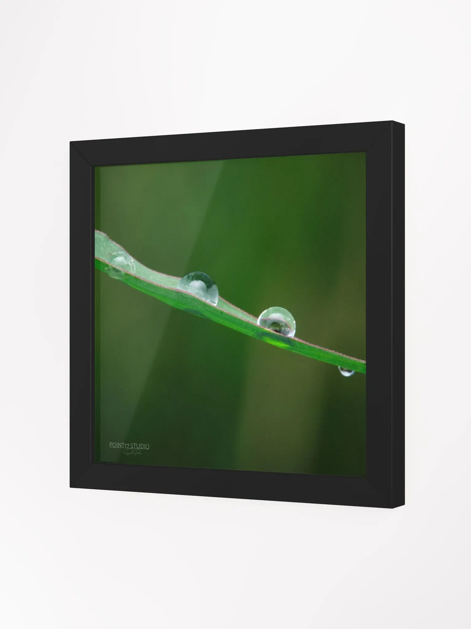 Dew Gems #5 - Framed Print product image (2)