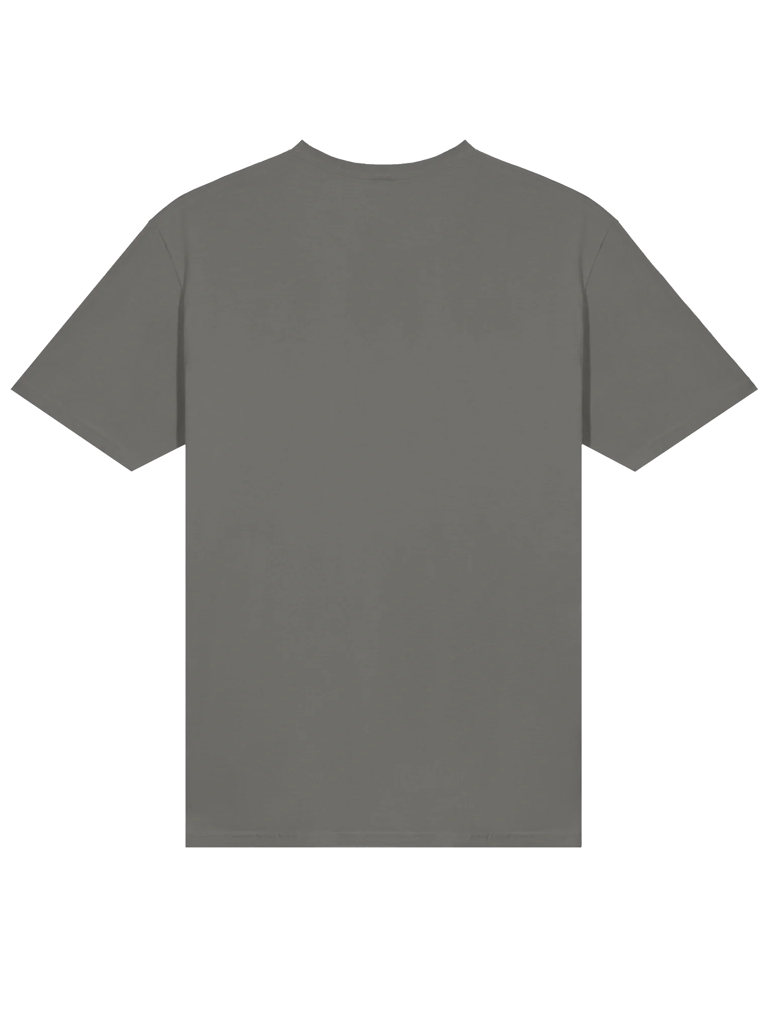 Wild Hearts Soft-style Tee product image (4)