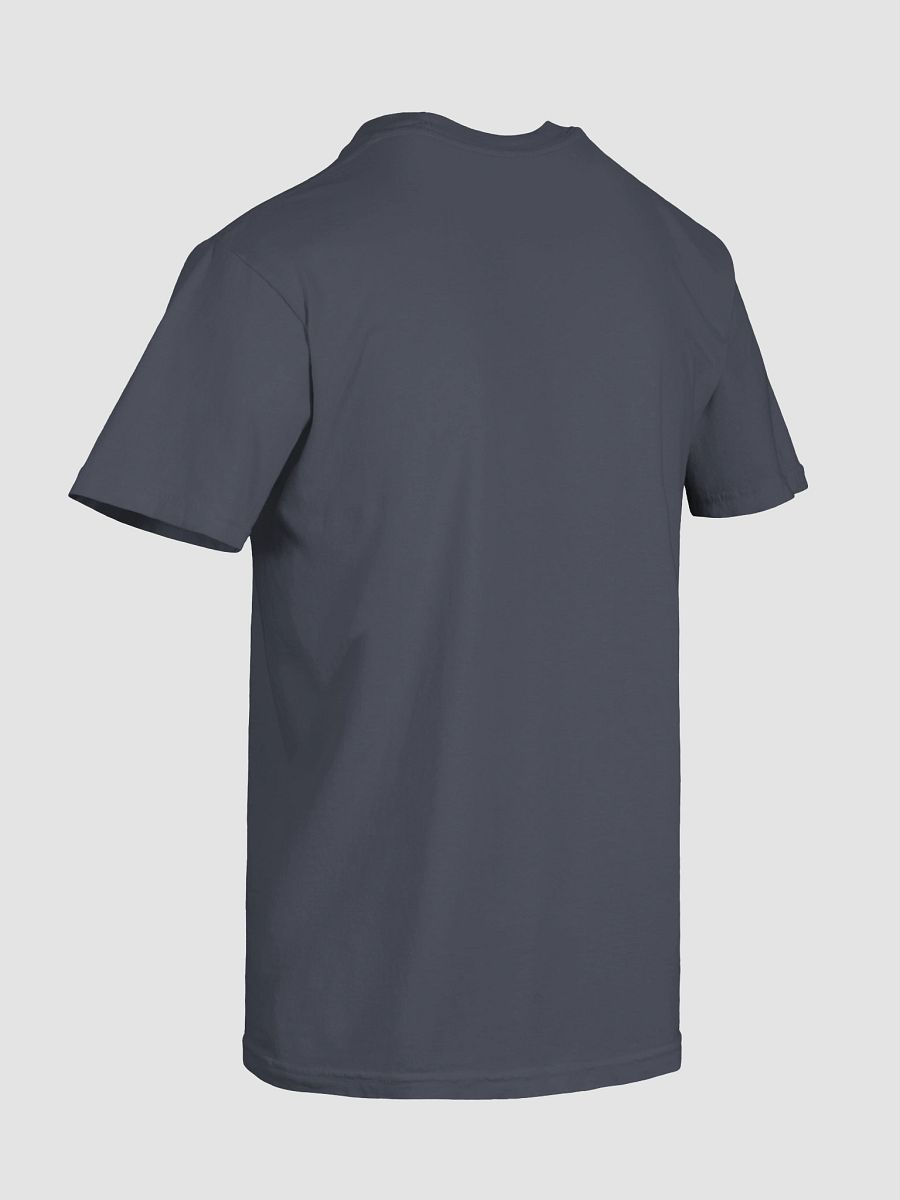 Virginia Sucks tshirt product image (8)