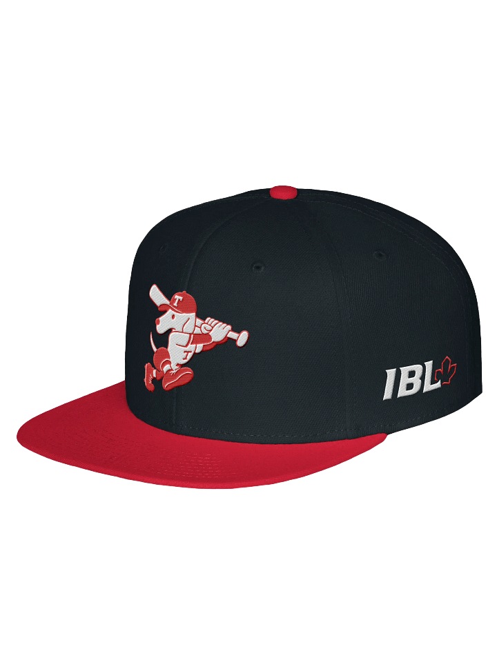 Galt Terriers Legacy Cap product image (11)