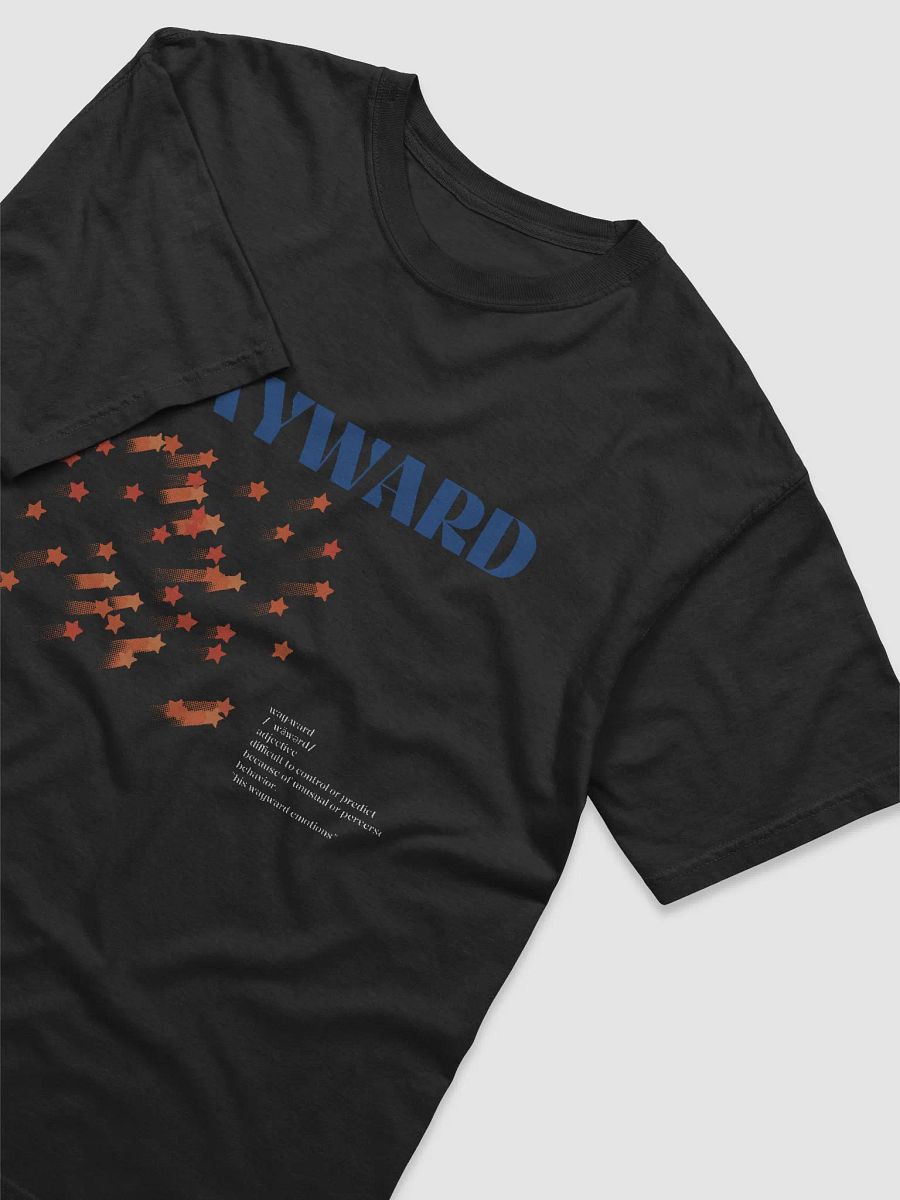WAYWARD TEE (Black) product image (3)
