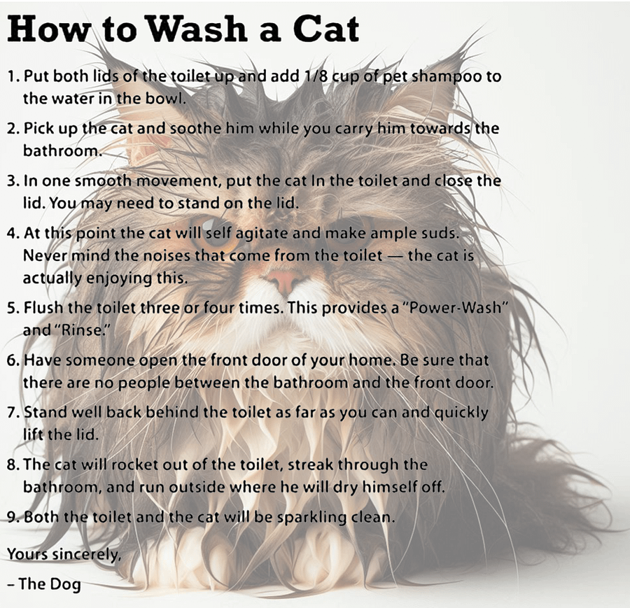 Hilarious Cat Washing Guide #Humorous Glossy Mug - White product image (7)