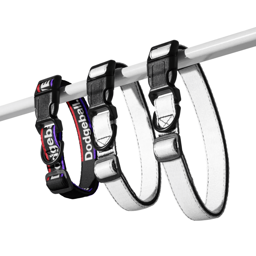 Dodgeball.LIVE Dog Collar product image (7)