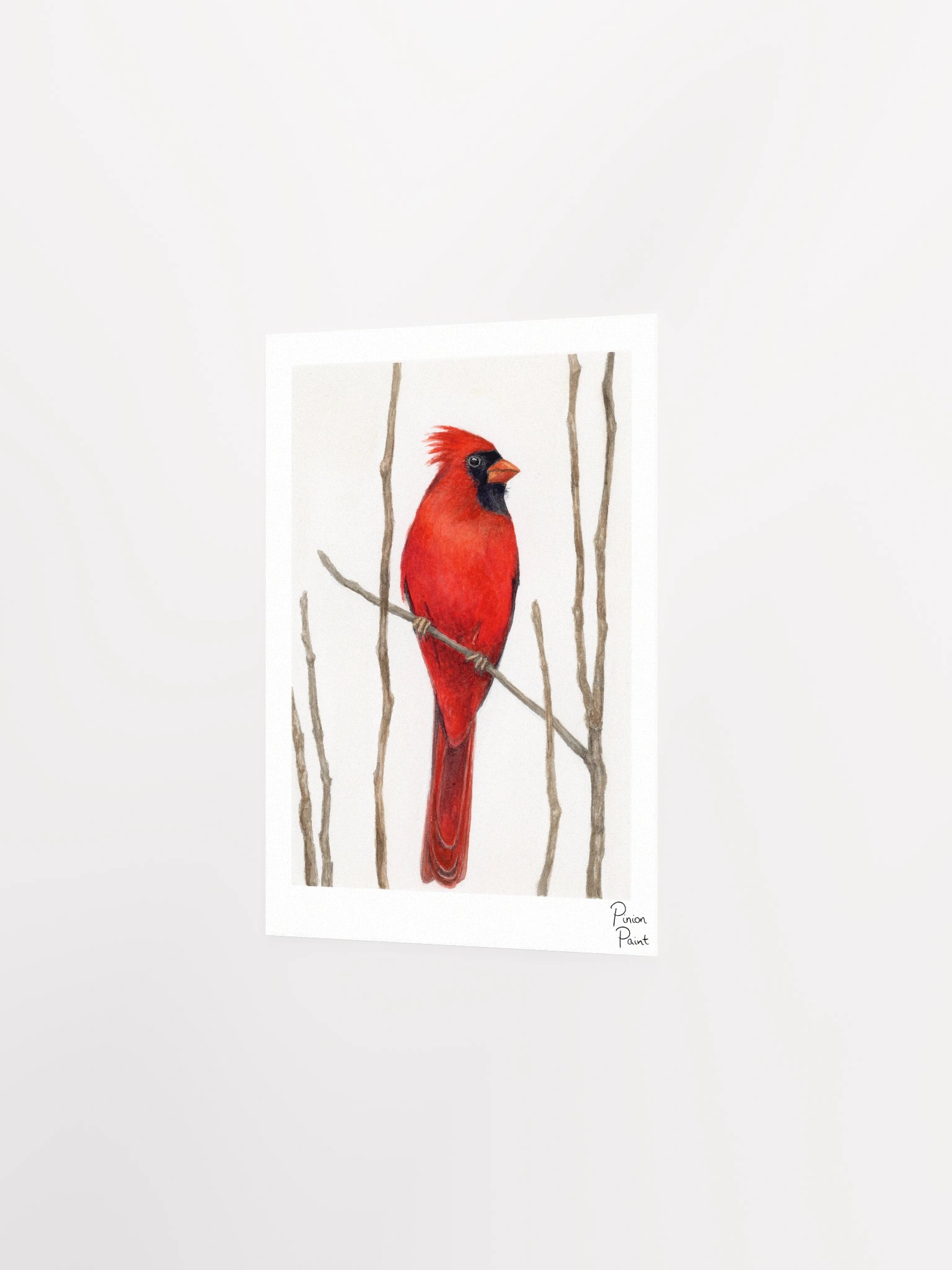 Cardinal print product image (4)