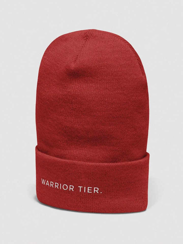 Warrior Tier Beanie product image (22)