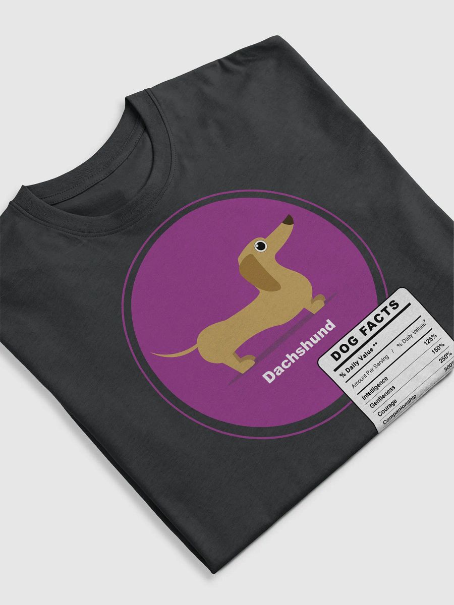 dachshund dog facts product image (5)
