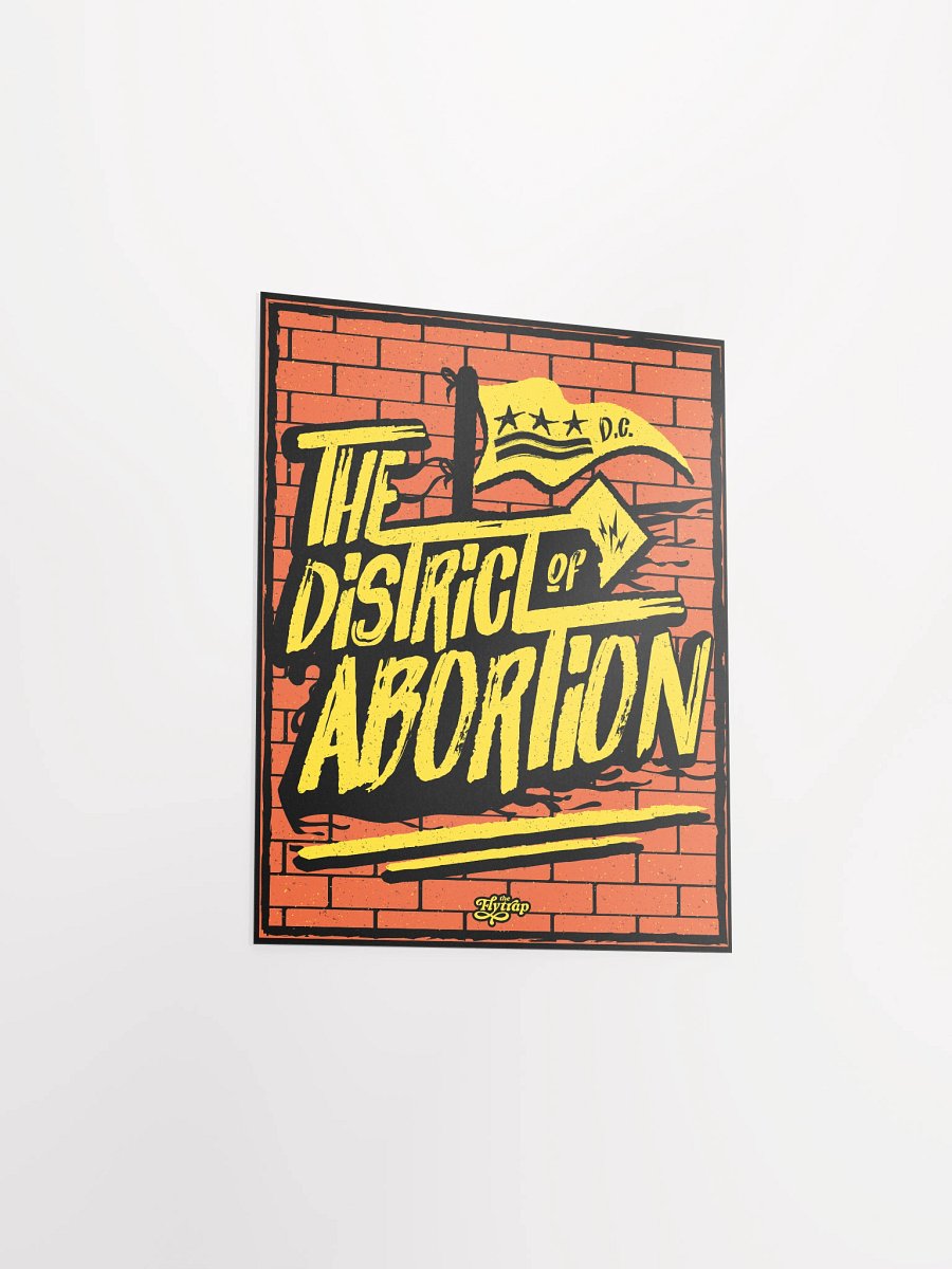 The District of Abortion 8x10 poster product image (3)