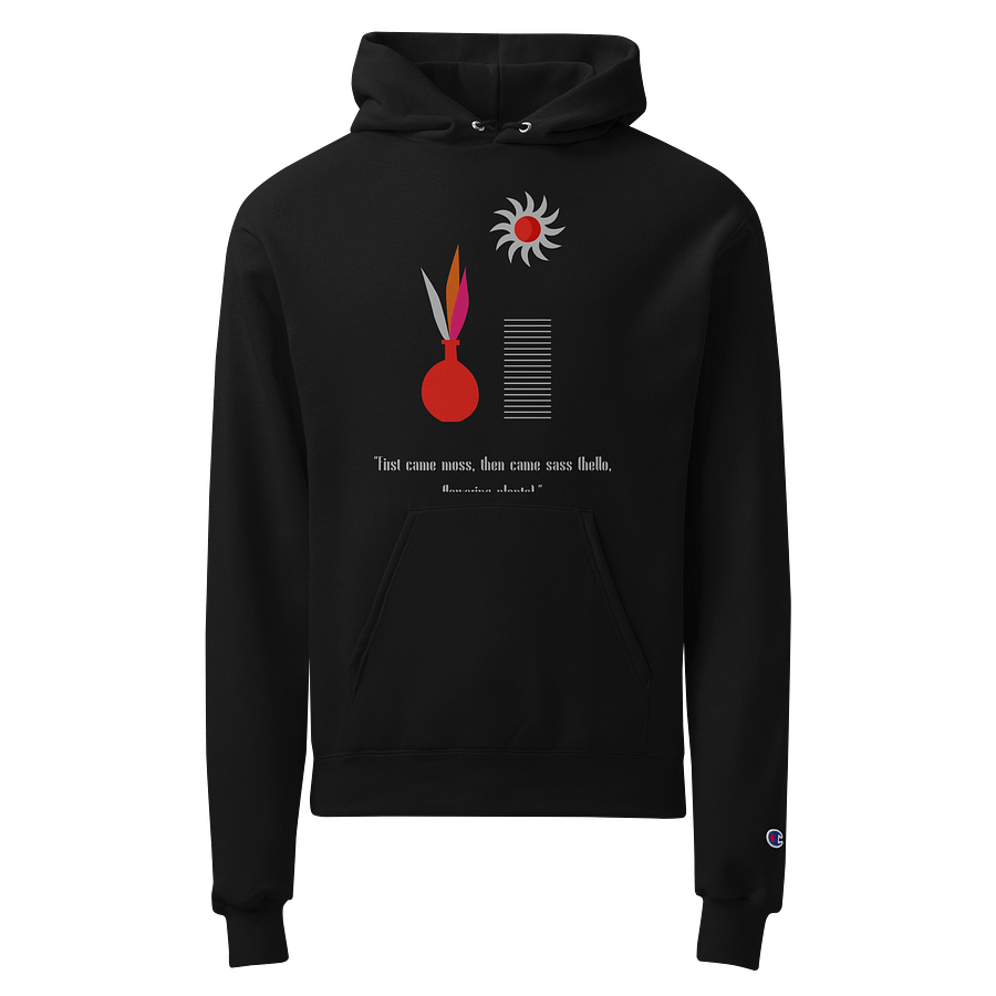 Sunlit Feathers Champion Hoodie product image (1)