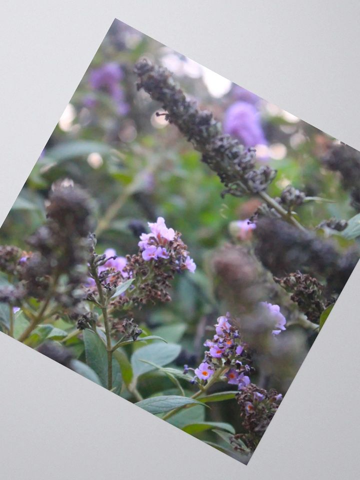 A Study in Flowers 6 - sticker version product image (4)