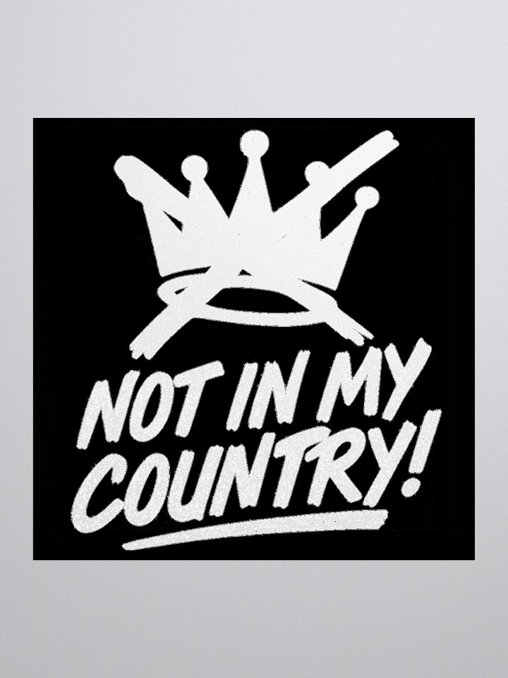 NO KINGS NOT IN MY COUNTRY Kiss Cut Stickers product image (2)