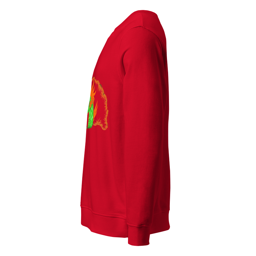 Dragon's Fury Organic Sweatshirt product image (3)