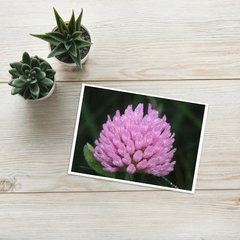 Soaked Purple Clover Greeting Card product image (1)