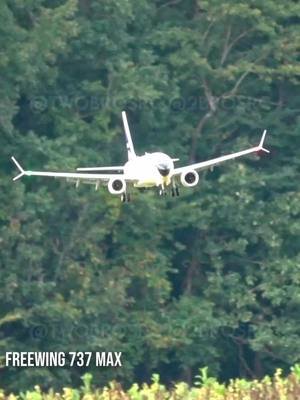 Some recent landings we've performed, including the newly upgraded 737 with significantly better tires for softer, nearly noiseless landings. #aviation #rc #rcplane