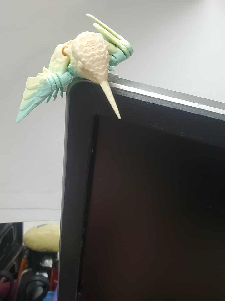 Humming Bird product image (1)