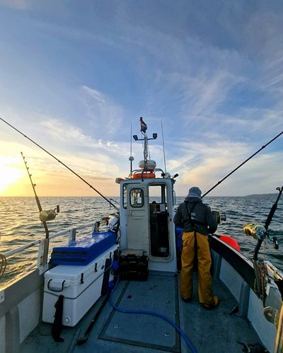 Gorgeous but slow day at sea today so thought we'd share some info about the tuna set up onboard Forager. We had to do quite ...