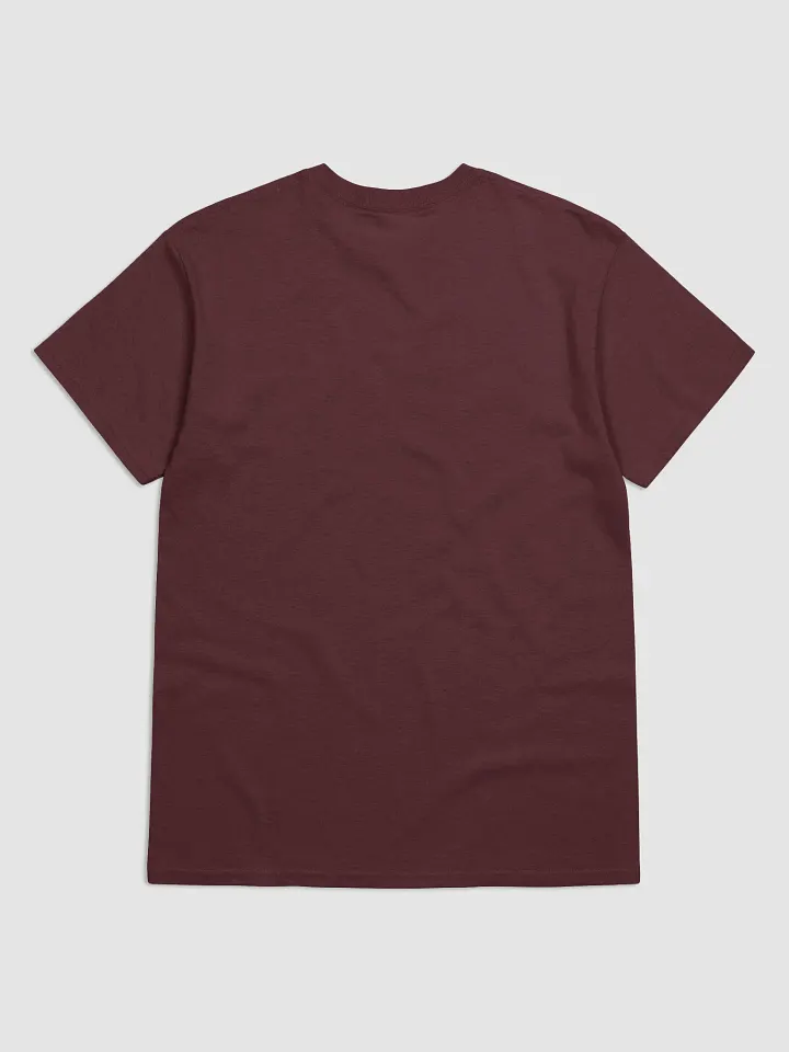 Galway/Gaillimh Scholastic style Ogham Maroon printed T-shirt product image (2)