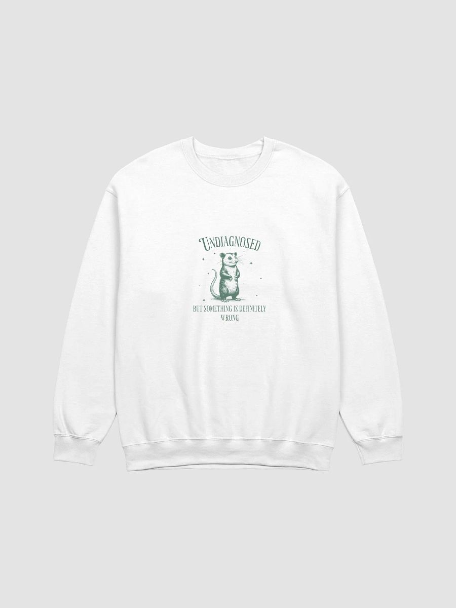 Funny Opossum Sweatshirt - „Undiagnosed But Something Is Definitely Wrong”, Opossum Meme Sweatshirt, Possum Graphic Sweatshirt product image (3)