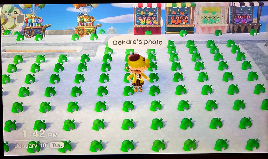 Animal Crossing Treasure Island - 1 Full Hour product image (4)
