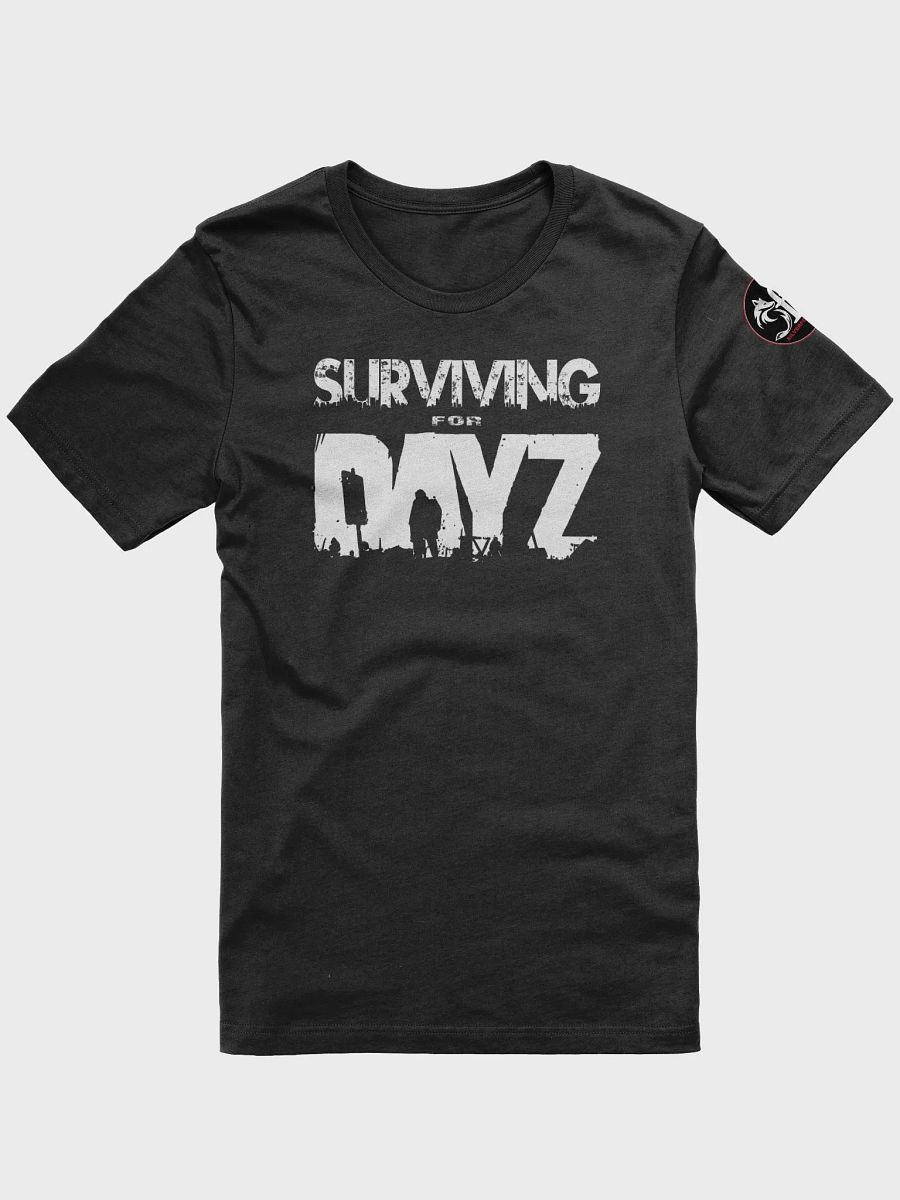 DayZ product image (5)