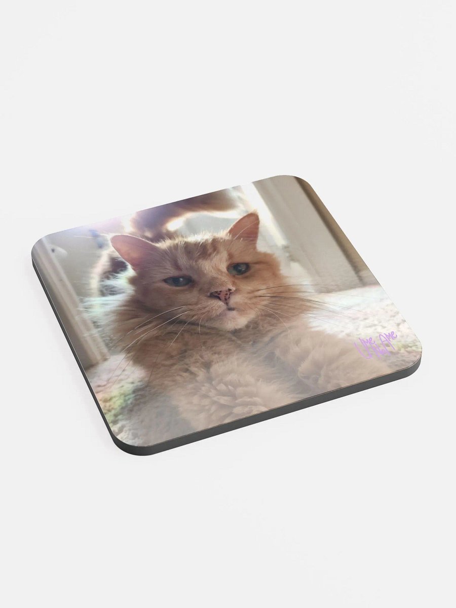 Gus Stretchies Coaster product image (2)