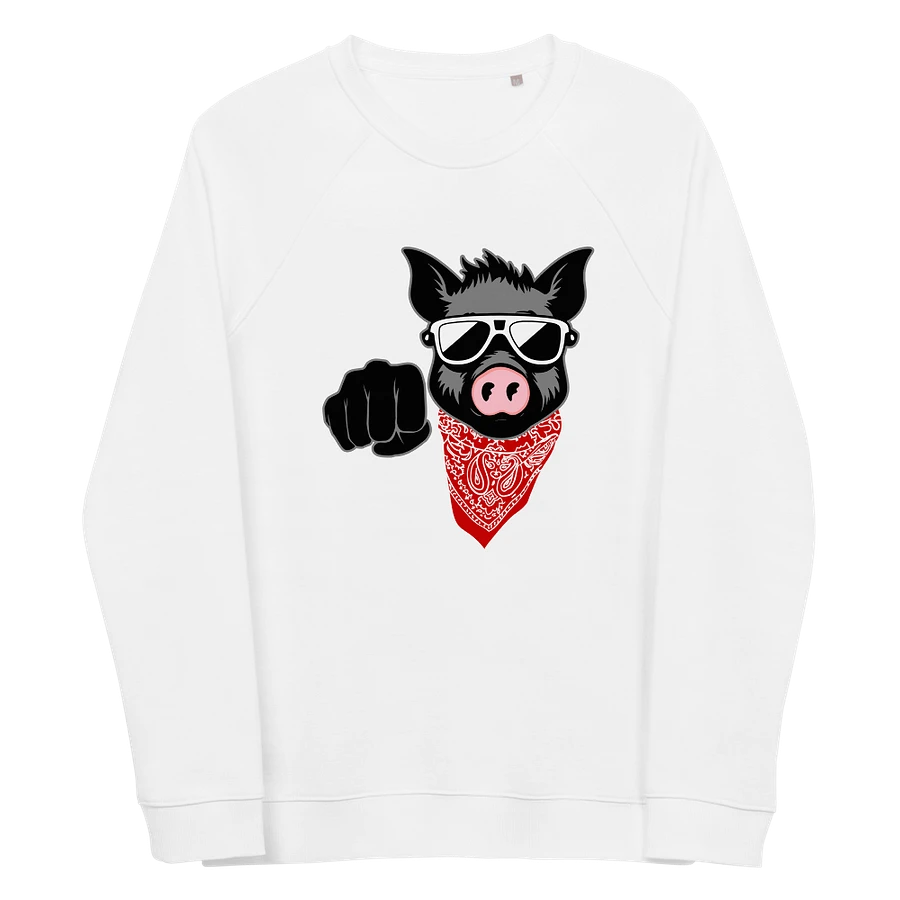 Kinky Fist Pig · organic raglan sweatshirt product image (3)