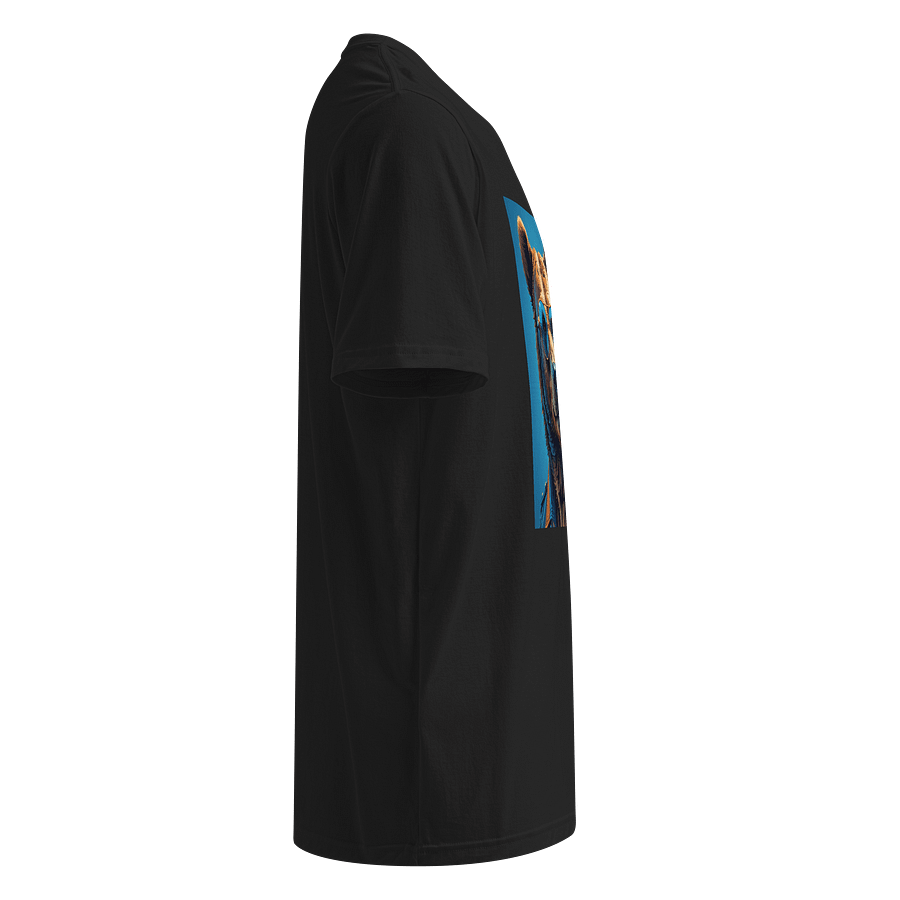 COOL BEAR product image (4)
