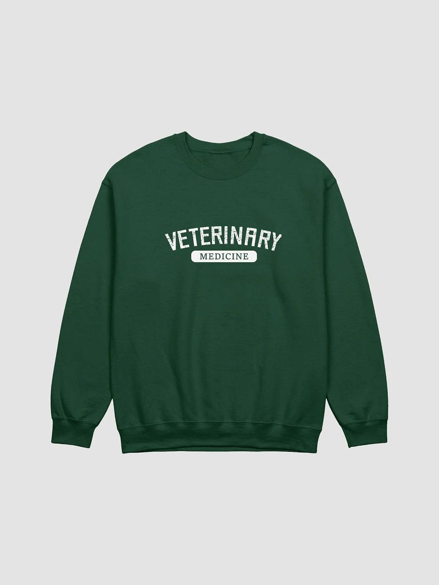 "Veterinary medicine-sport" sweatshirt product image (1)
